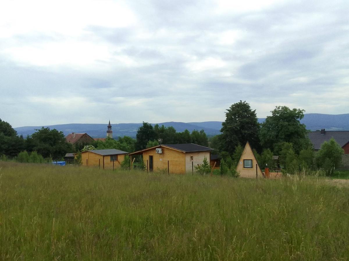 Szalas W Gorach Izerskich, Blisko Swieradow Zdroj I Zamek Czocha, Agroturystyka, Ogrzewanie, Klimatyzacja , Plac Zabaw, Ognisko Z Rusztem I Kijkami, Zywe Zwierzeta, Latem Basen Mirsk Extérieur photo
